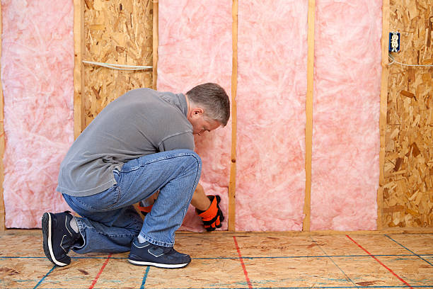 Best Best Insulation Companies  in Nokesville, VA