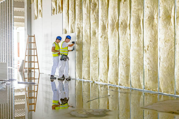 Best Insulation Inspection Services  in Nokesville, VA